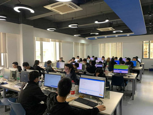 強技能 提成績——我院扎實推進18級學生技能高考實訓與計算機技術培訓工作