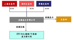 深度融合 港、滬、深三地共筑新篇章 – 實證信息技術合資公司全解析